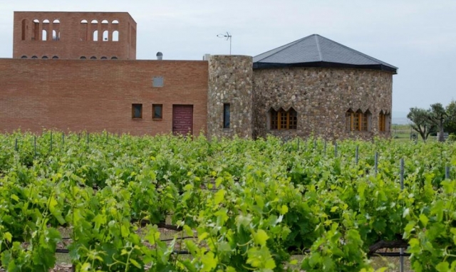 bodega entre un vinedo